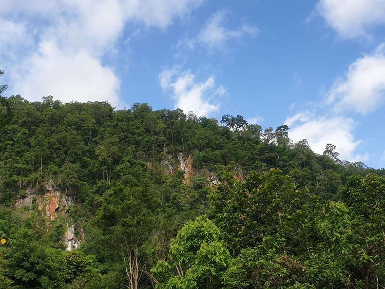 清道小屋度假村