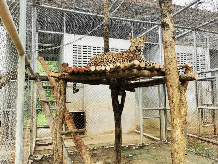 Khao Son Wildlife Breeding Station