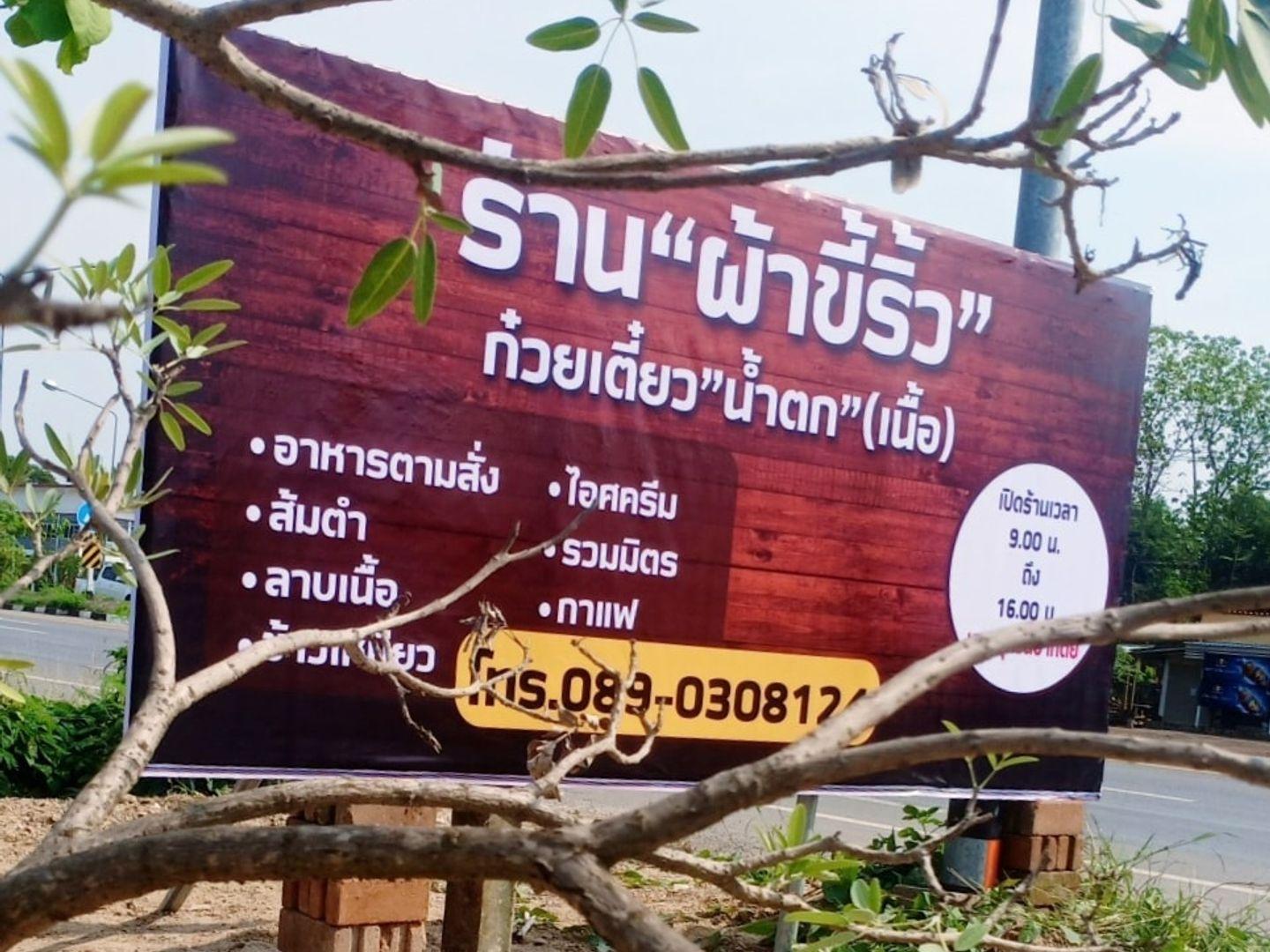tripe noodles