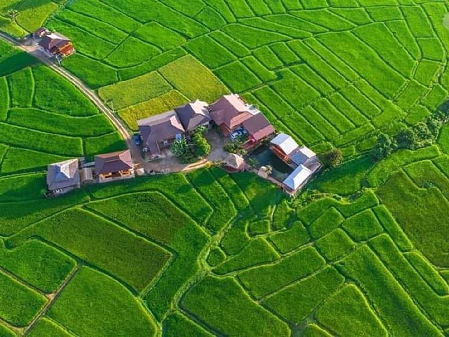 Farm stay accommodation at the farmer's school