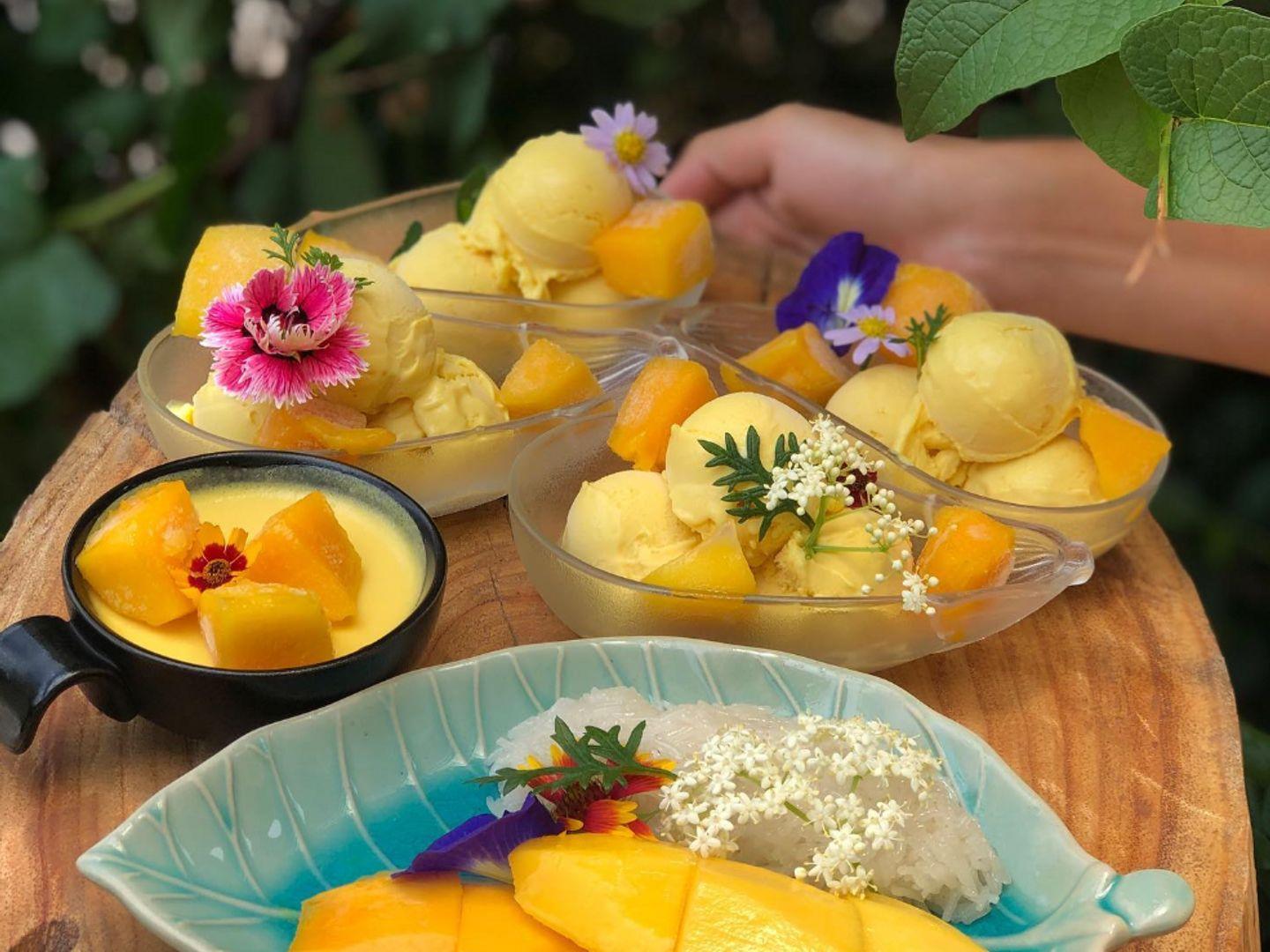 บ้านหมากม่วง KhaoYai The Mango House Farm