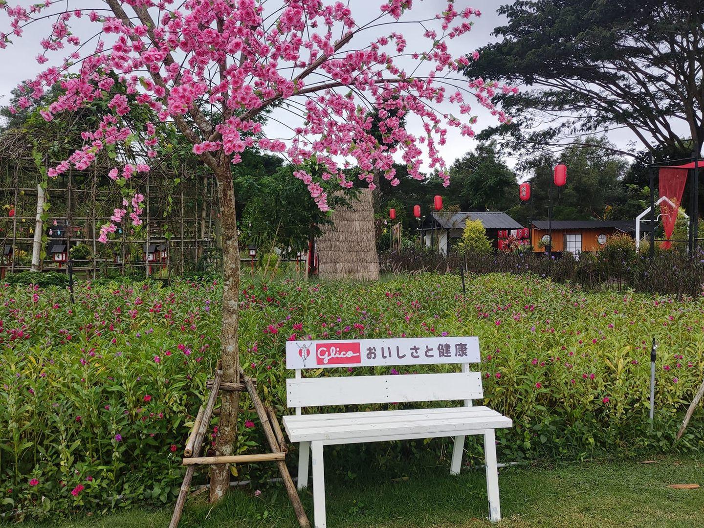 Kanona Cafe, Faffin Farm
