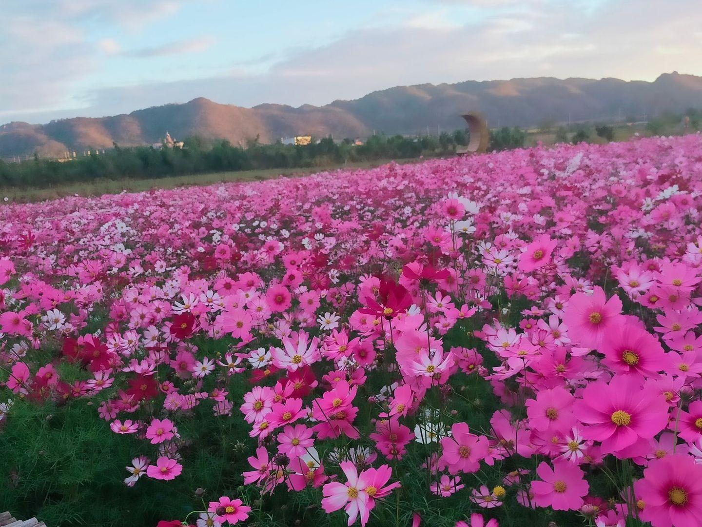 Nong Boonthing Nonsila Farm