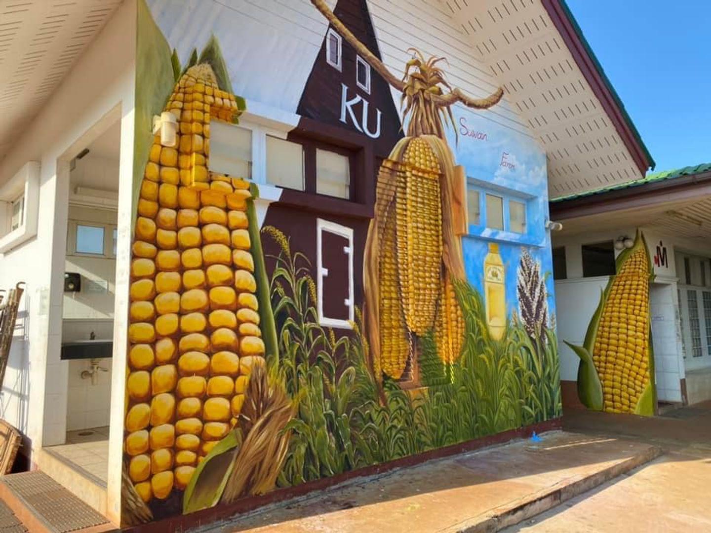 Suwan farm sweet corn
