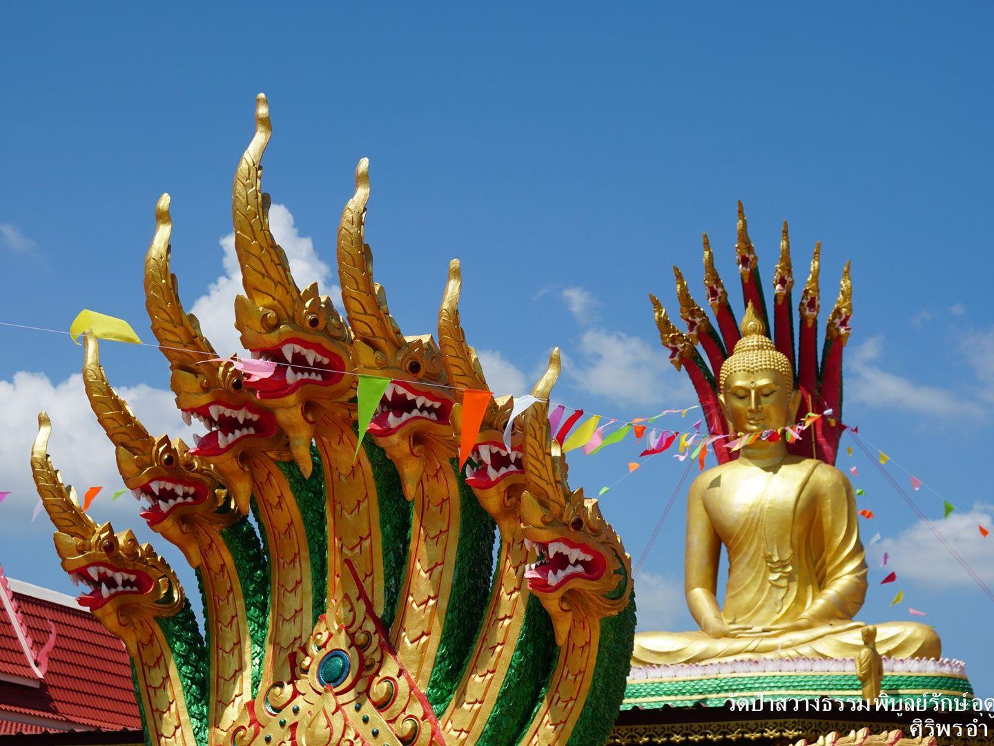 วัดป่าสว่างธรรม