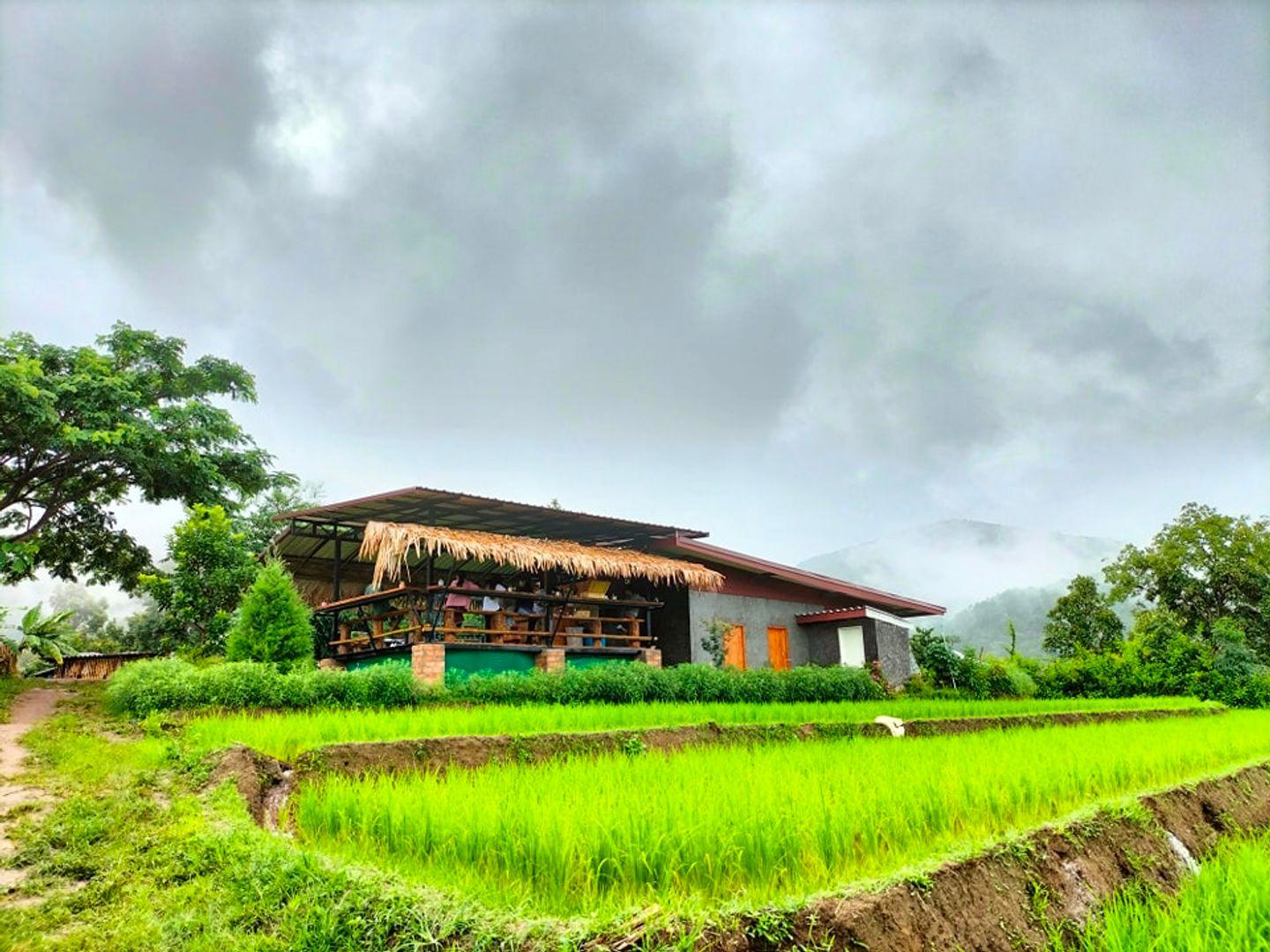 ระเบียงนา คาเฟ่ บ้านป่าบงเปียง