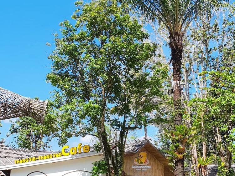 Thongyib Thongyod CAFE Thongyib Thongyod Cafe