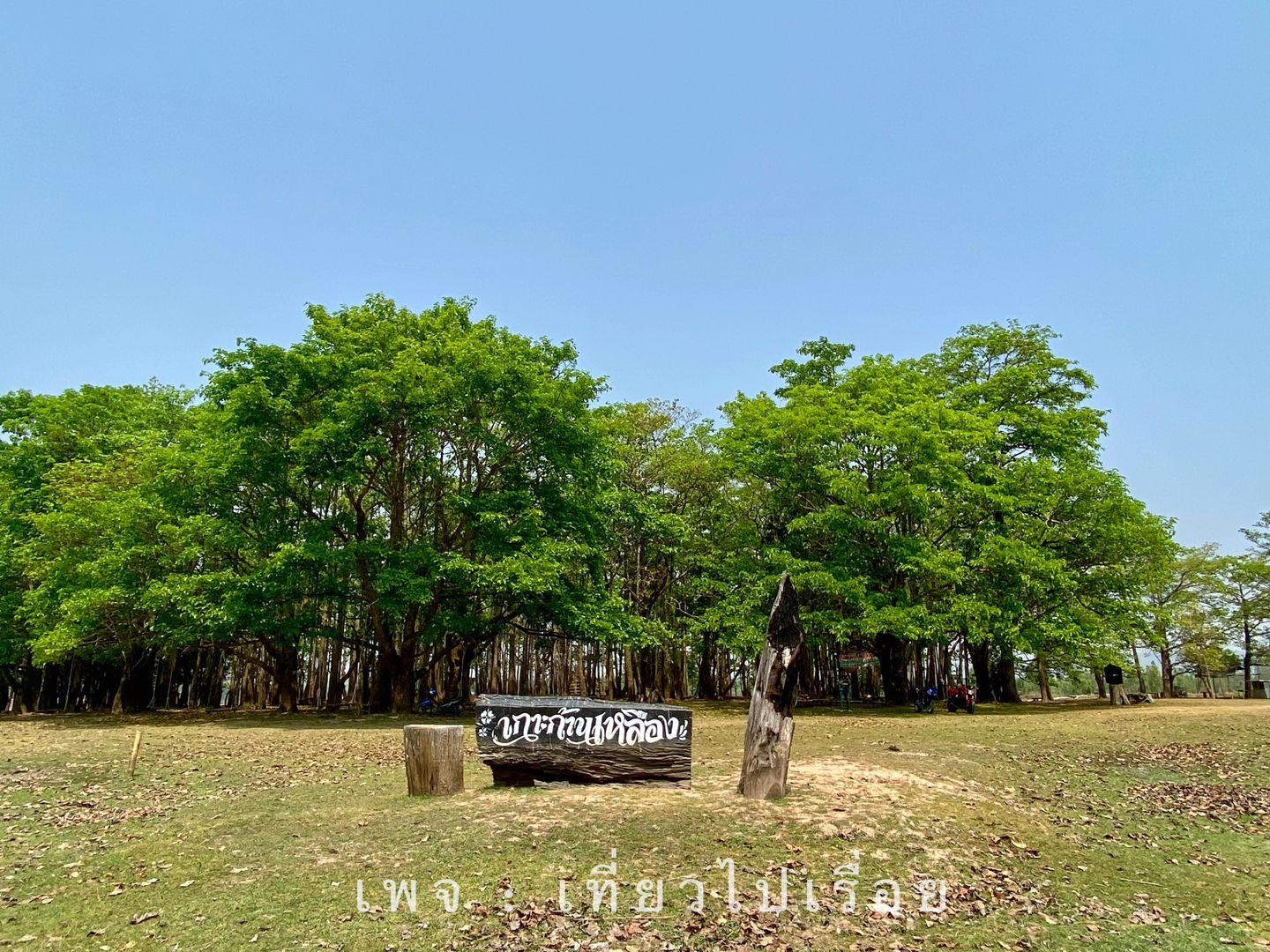วังเทียมเมฆ
