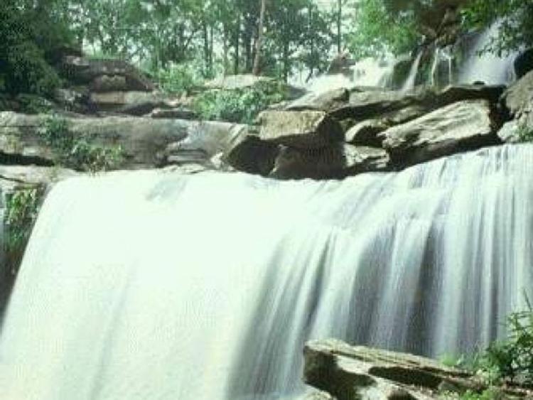 วนอุทยานน้ำตกธารงาม