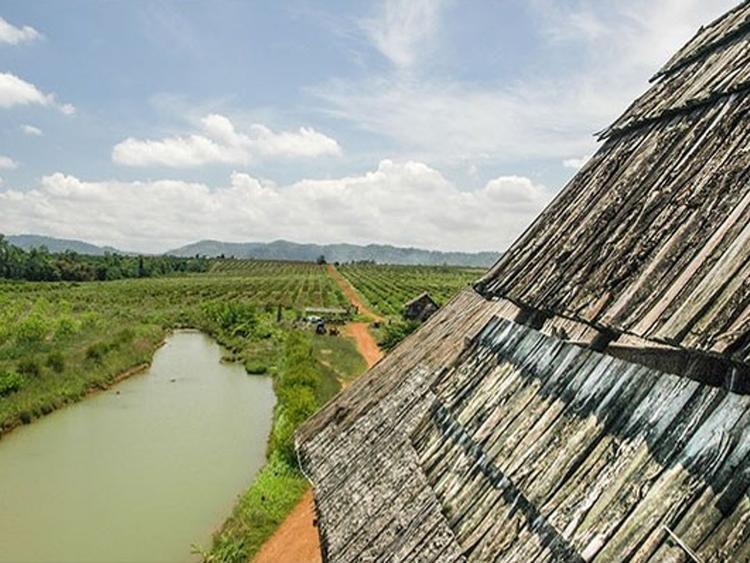 สวนเทพพิทักษ์
