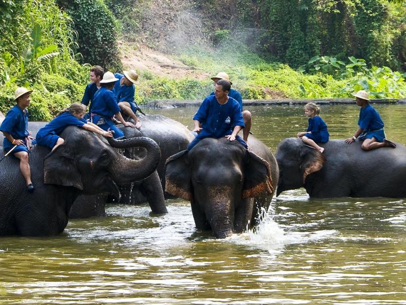 ศูนย์อนุรักษ์ช้างไทย และ สวนป่าทุ่งเกวียน