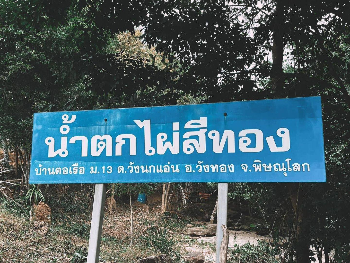 น้ำตกไผ่สีทอง
