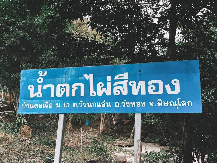น้ำตกไผ่สีทอง