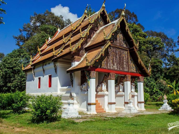 root vegetable temple
