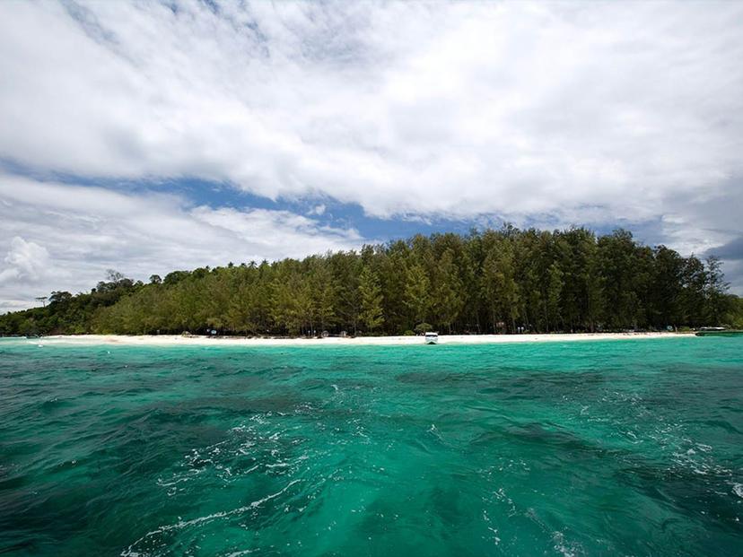 bamboo island