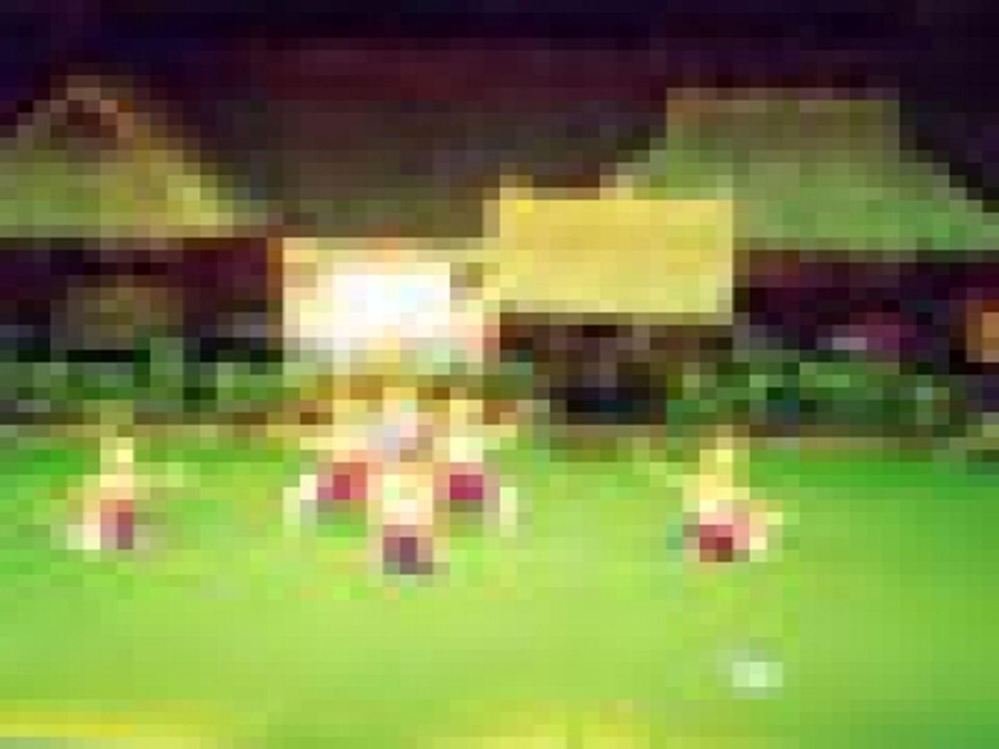 Thai Village and Phuket Orchid Garden