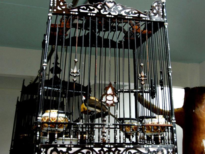 bird cage village