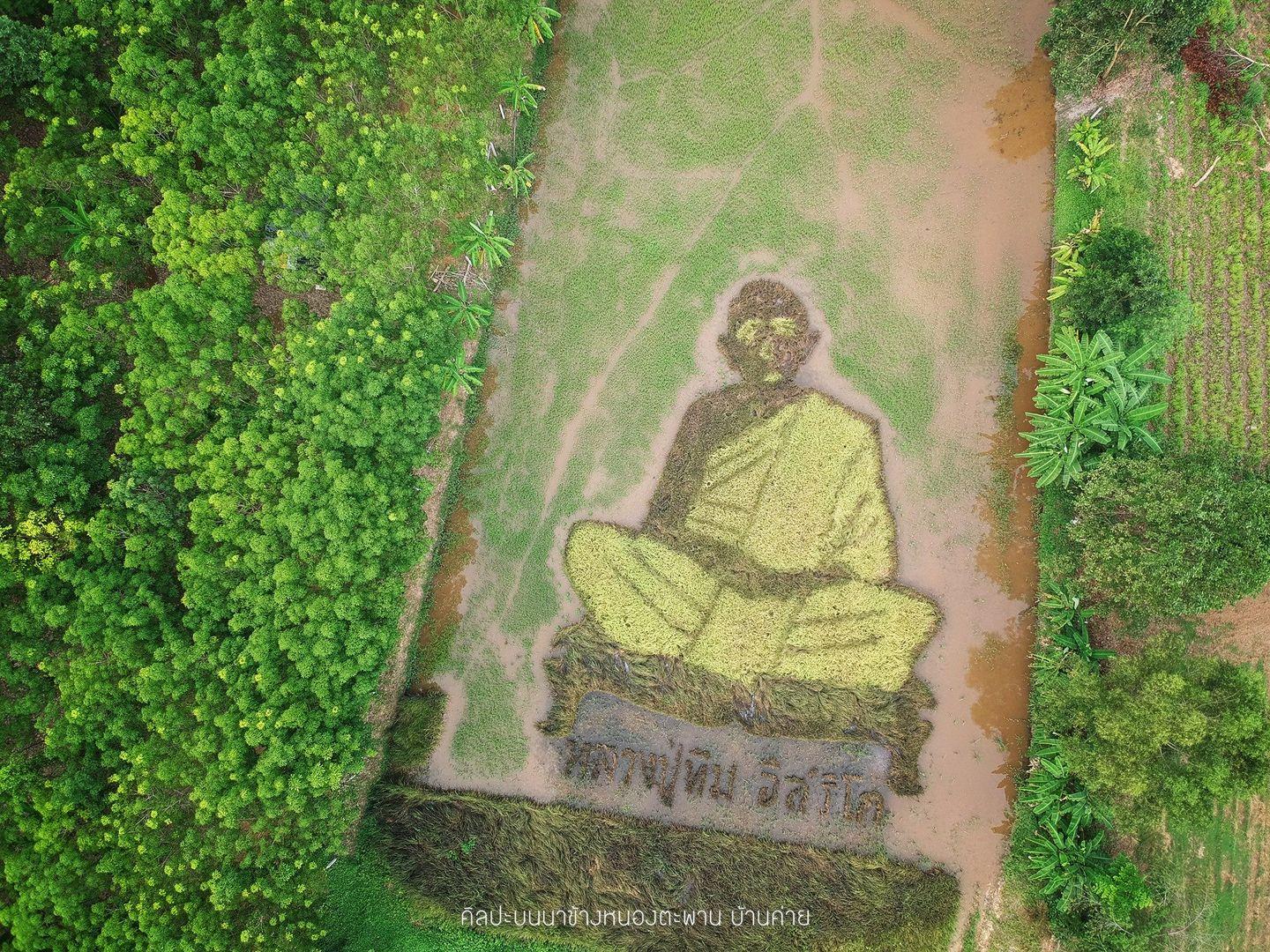 Nong Taphan 稻田上的艺术