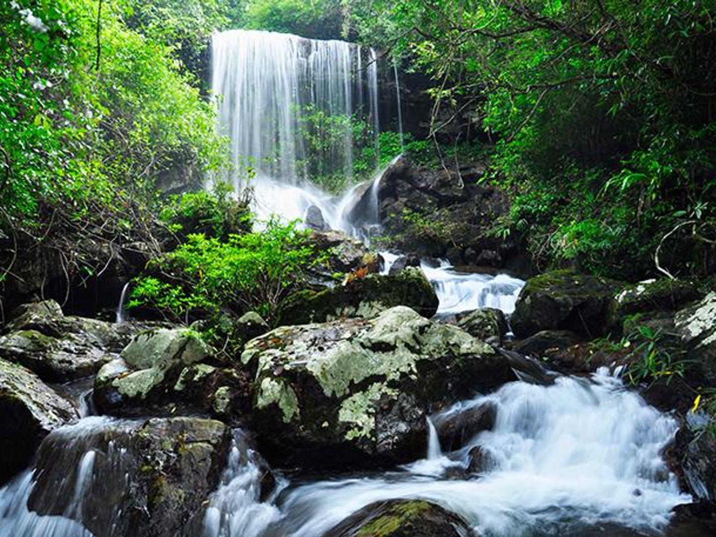 Pha Takhian Waterfall