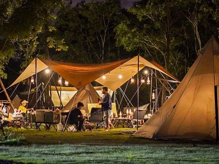 Wine Camp, Accommodation & Campground