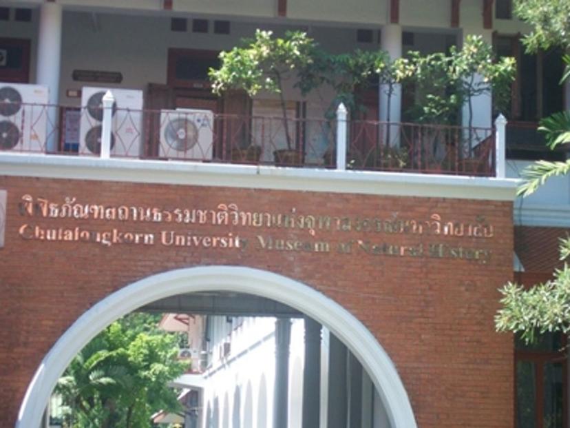 natural history museum of Chulalongkorn University