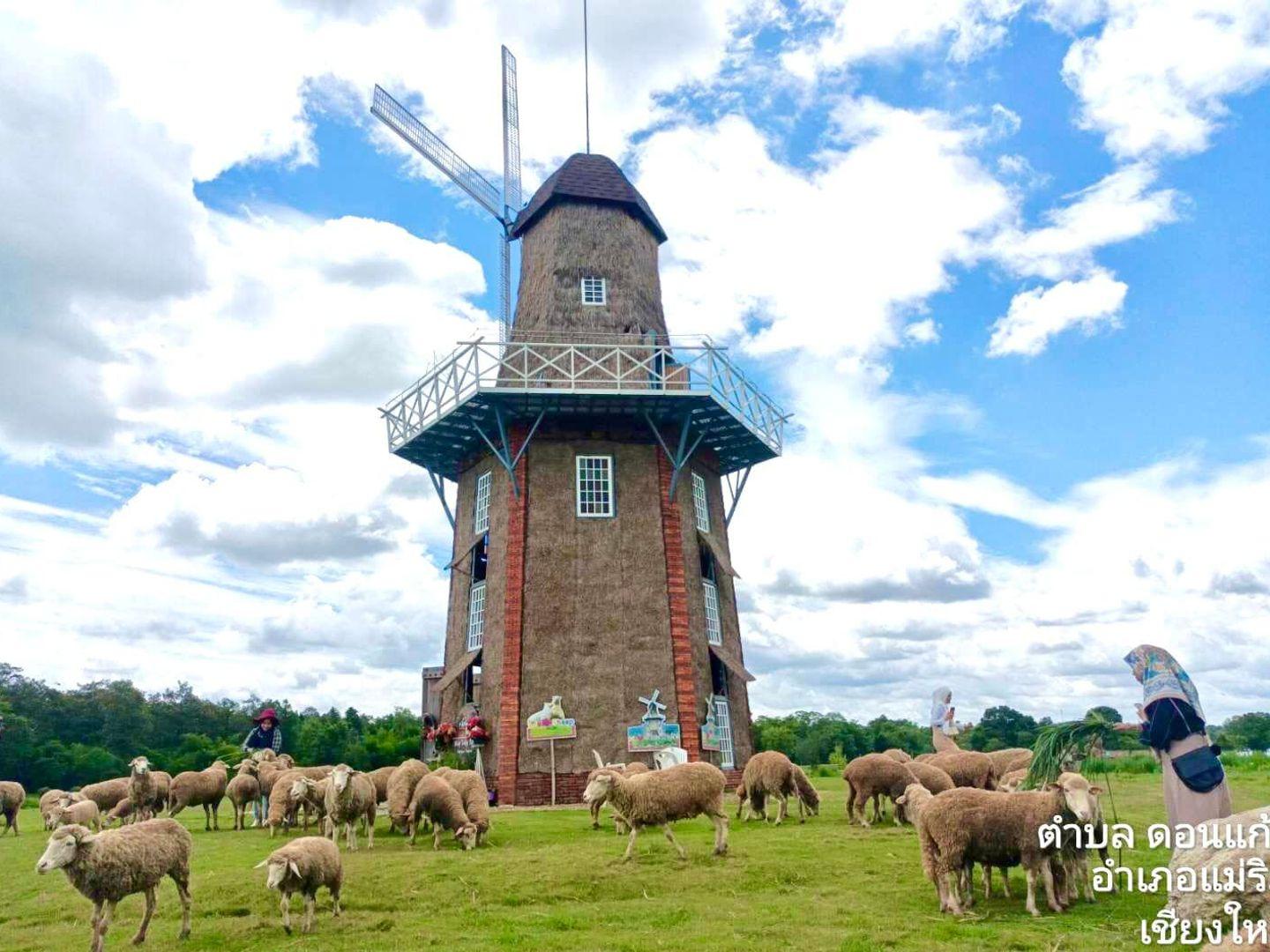 Huay Tung Thao Sheep Farm