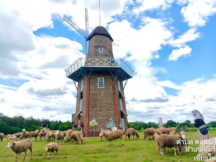 Huay Tung Thao Sheep Farm