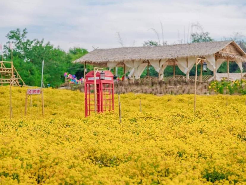 Lover Flower Farm
