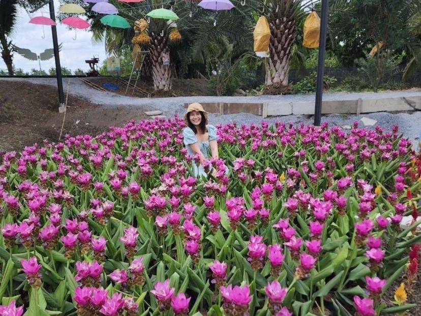 Uncle Kwan's Date Palm Garden