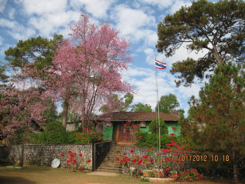 Ngob Cave Inn or General Saoli's House