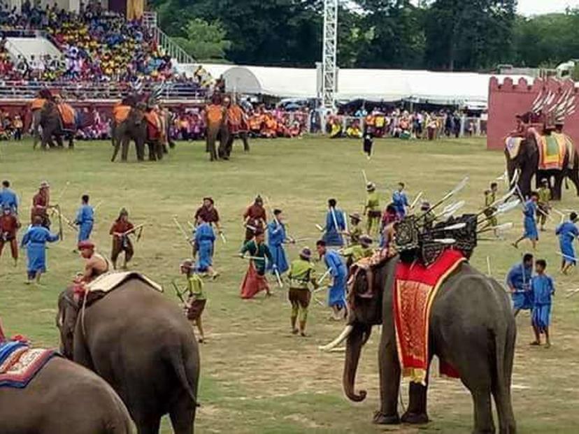 สนามแสดงช้าง จังหวัดสุรินทร์