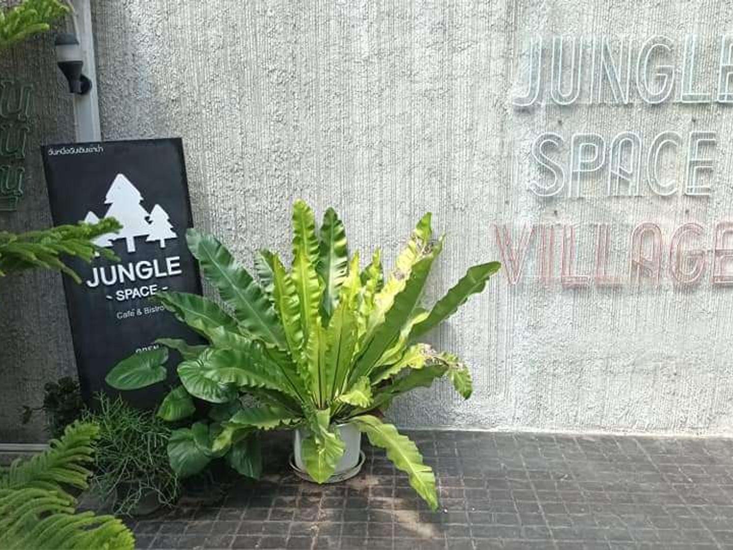 Jungle Space Village