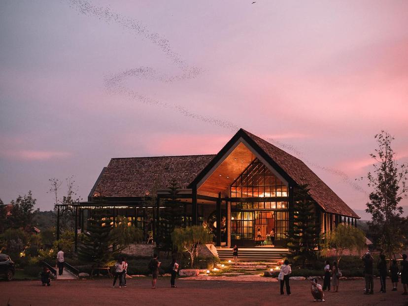 Bat Tales Khao Yai
