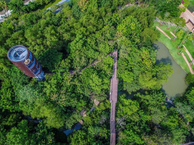 Urban Forest Learning Center