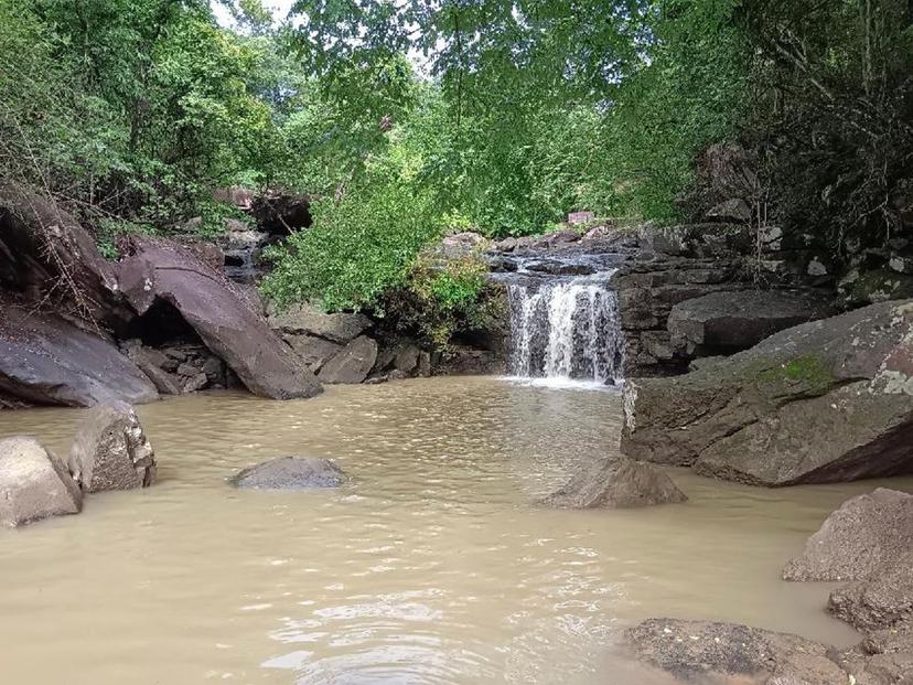 วนอุทยานภูผาวัว