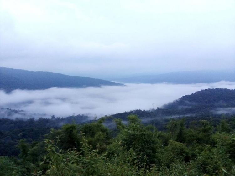 อุทยานแห่งชาติภูสวนทราย