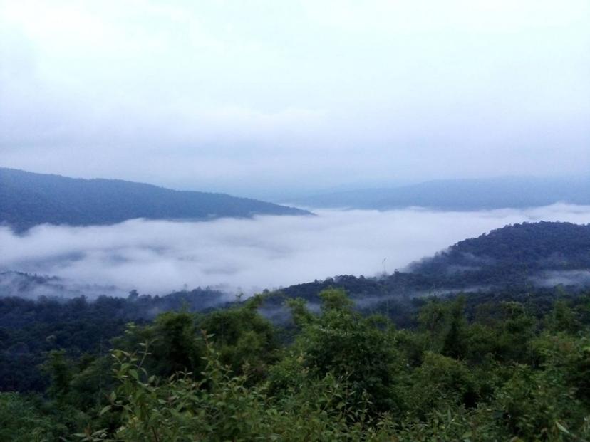 อุทยานแห่งชาติภูสวนทราย