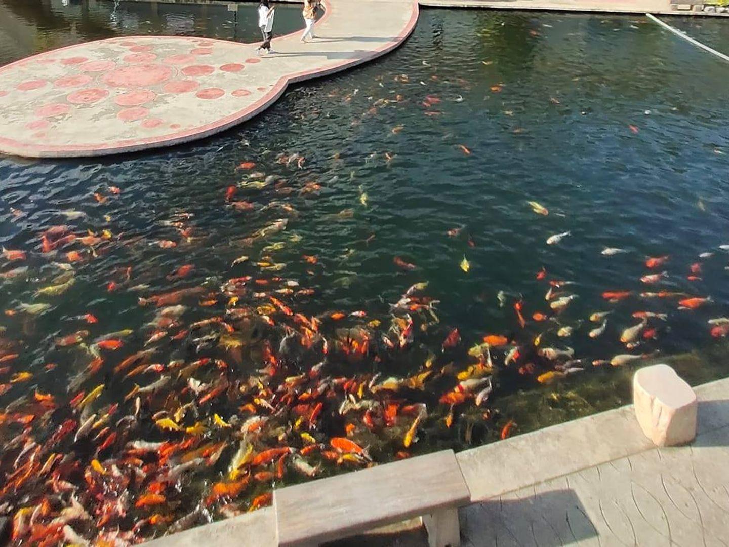 Klong Yuan Chuan Rak, Nakhon Sawan