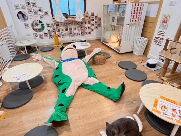 Cat Leaf Cat Cafe