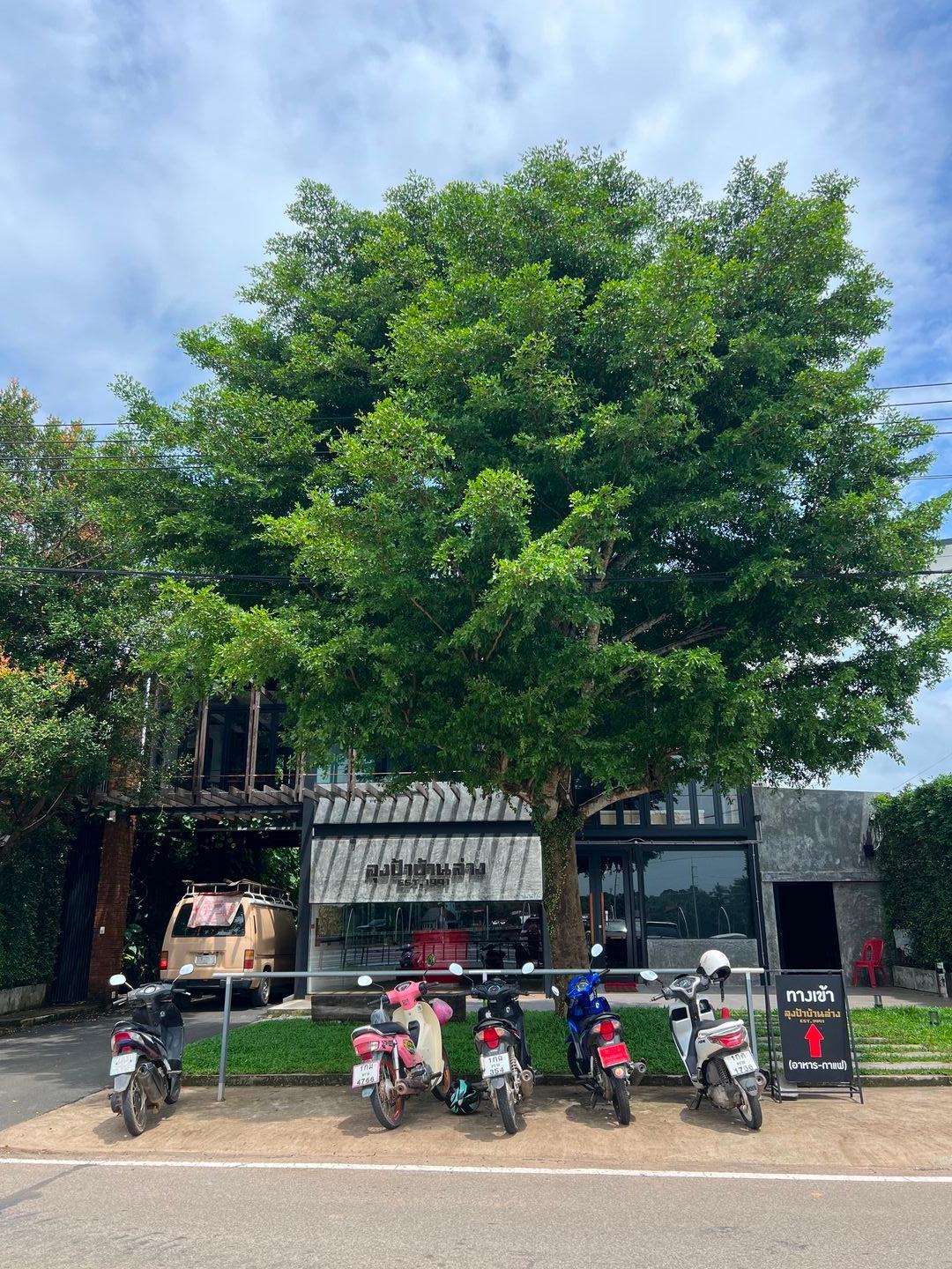 Uncle and Aunt's Shop 1991