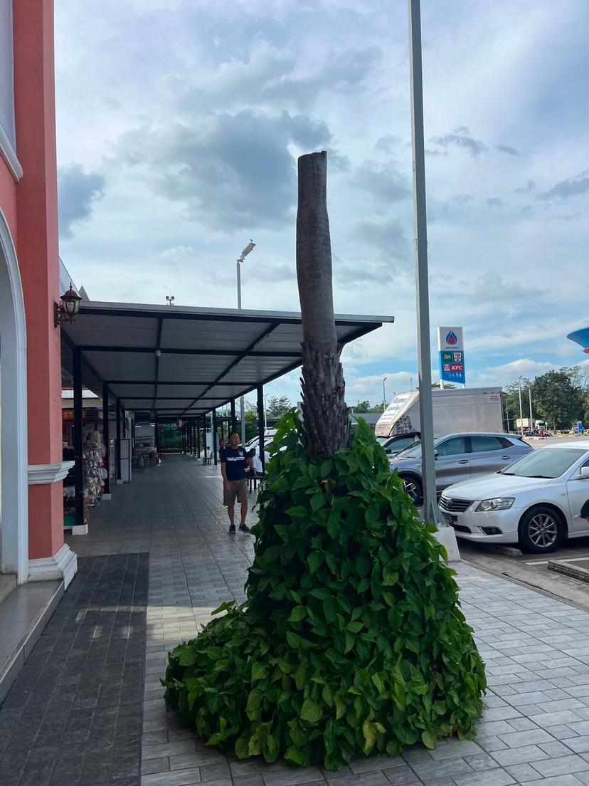 PTT Station Tab Lan-Nadi