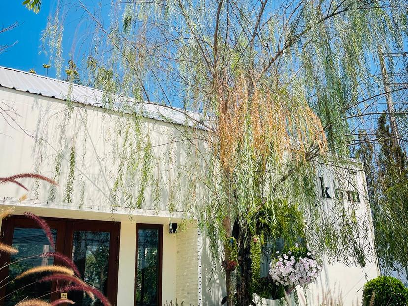 kkom cafe & bistro