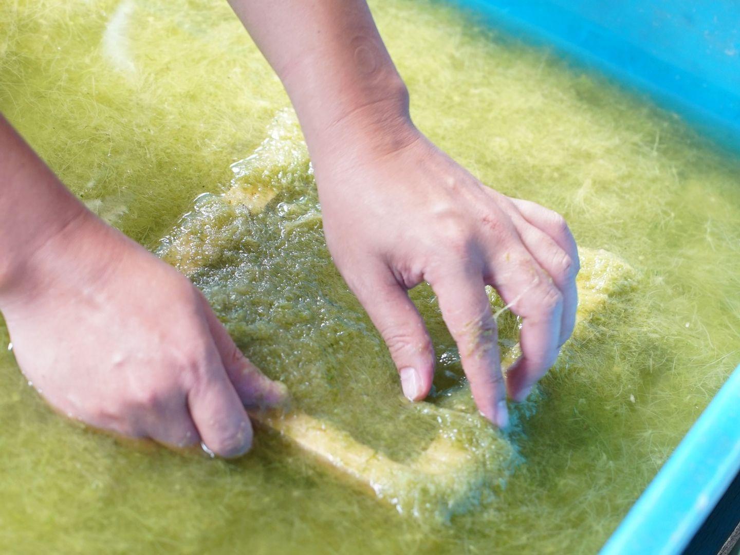 The Salaya Leisure Park