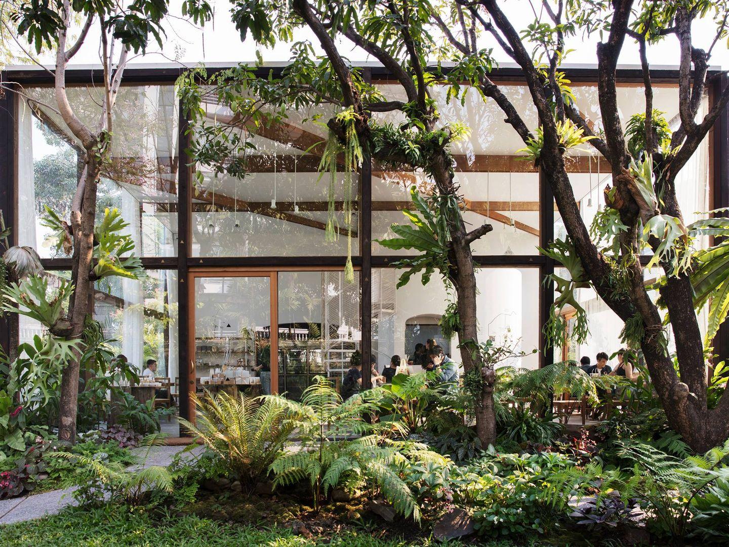 Patom Organic Living