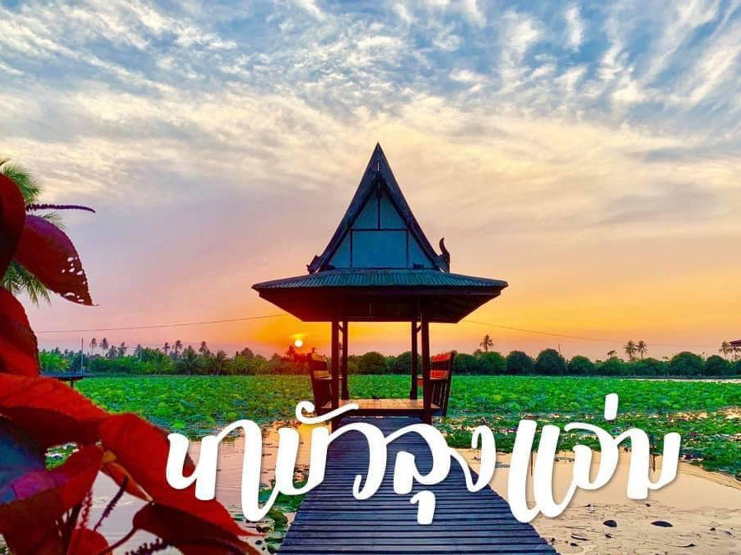 นาบัวลุงแจ่ม