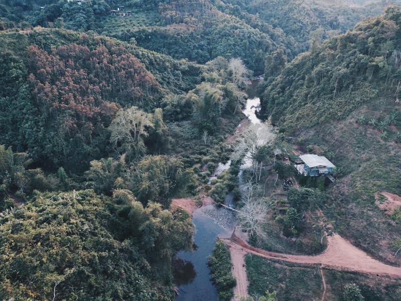 Forest Forest Farm & Stay