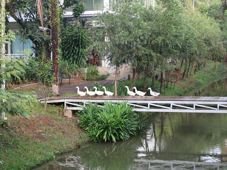 ภูธารา รีสอร์ท กระบี่