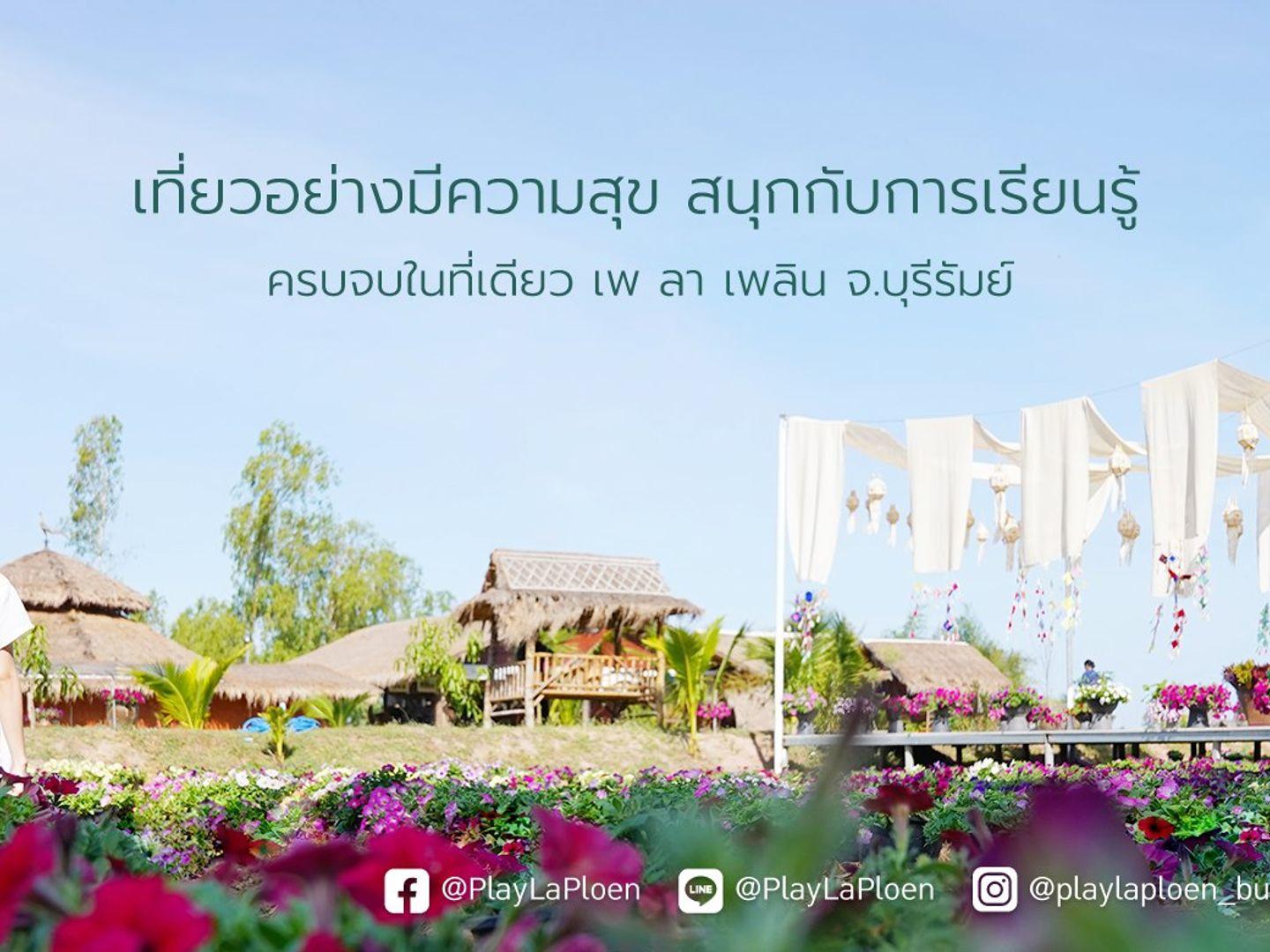 เพ ลา เพลิน บุรีรัมย์