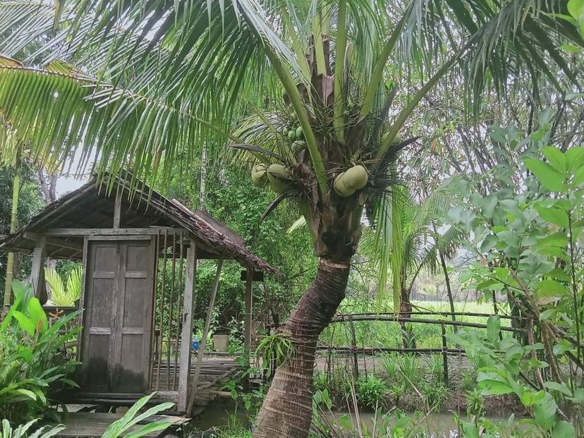 บ้านสวนสมรมนาพรุ
