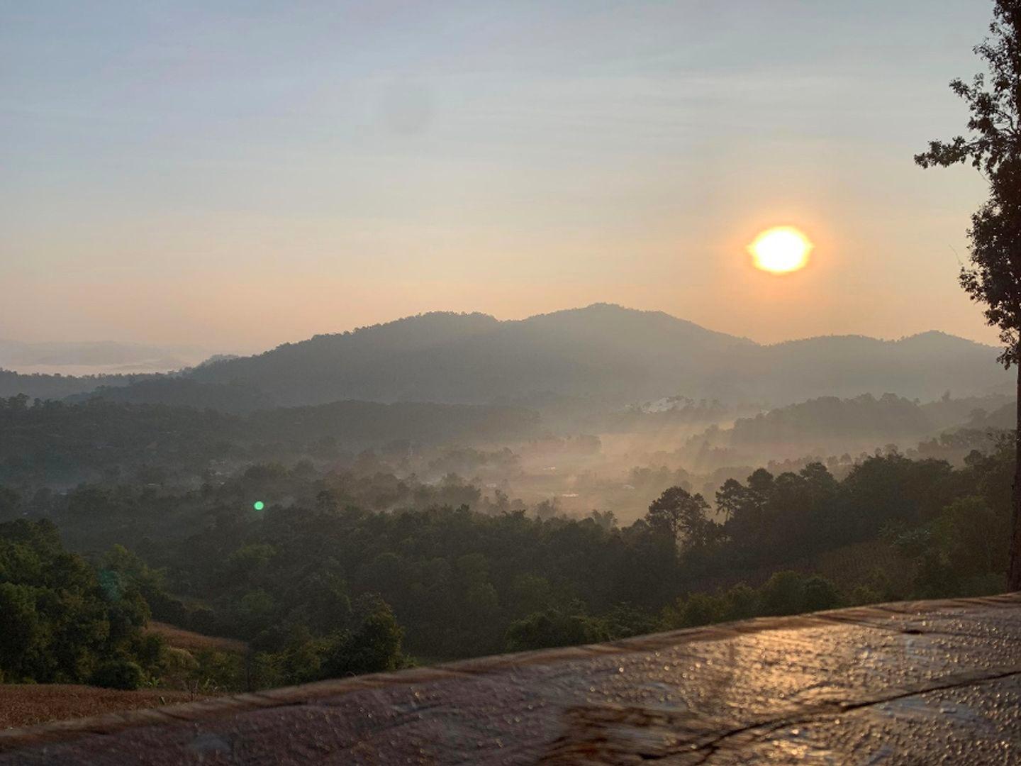 ร้านกาแฟบนยอดไม้